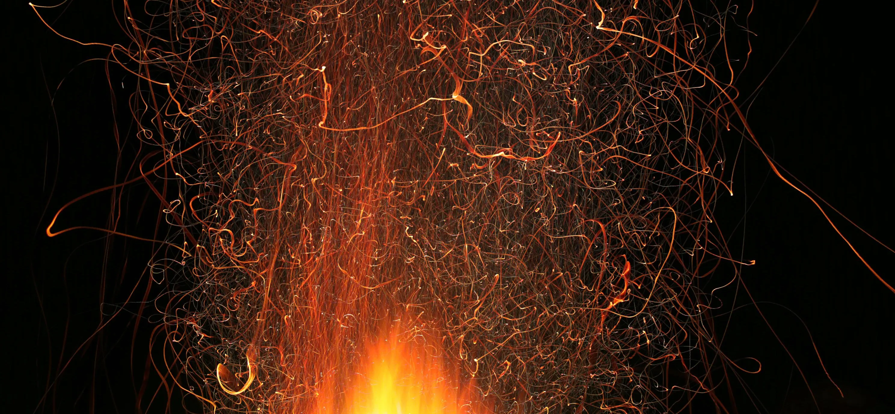 Banner del perfil